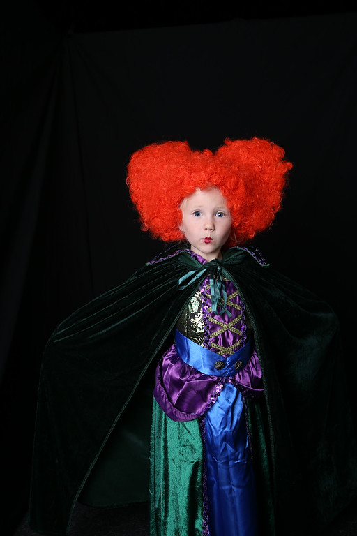 Hocus Pocus Halloween costumes. Sanderson sisters Halloween costumes. Hocus Pocus family costumes. Sanderson sisters family costumes. Sanderson sisters and Billy Butcherson costumes