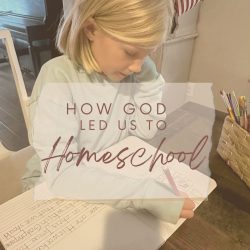 How God Led Us to Homeschool